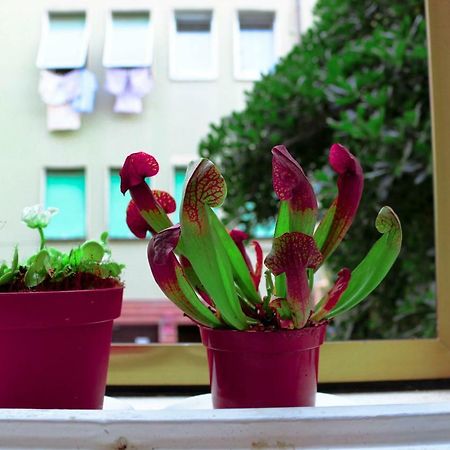 ונציה - לידו Venezia Lovely Rooms מראה חיצוני תמונה